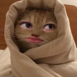 MiaRan