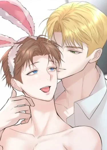 CAMBOY:BUNNY