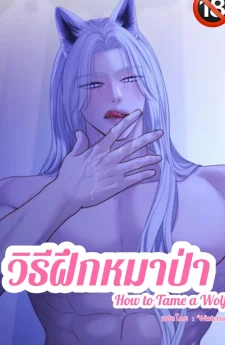 วิธีฝึกหมาป่า
