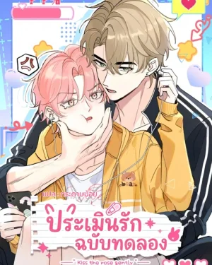 ประเมินรักฉบับทดลอง