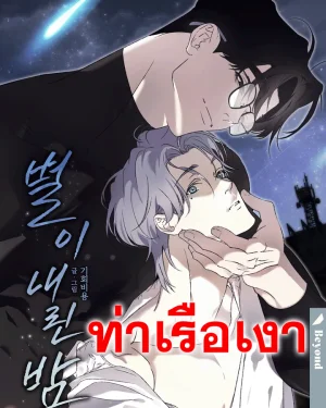 ราตรีประดับดาว A Night When Stars Fell