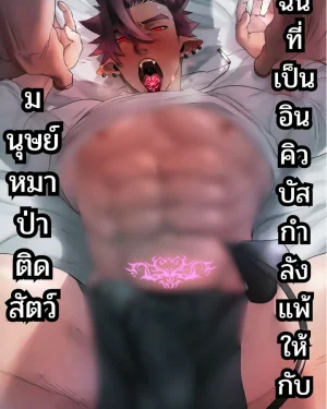 [จบ]ฉันที่เป็นอินคิวบัส กำลังแพ้ให้กับมนุษย์หมาป่าติดสัตว์
