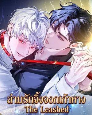 ล่ามรักจิ้งจอกเก้าหาง The Leashed