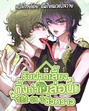 (เรื่องสั้น) รับฝากเลี้ยงกิ้งก่าเมล่อนชั่วคราว