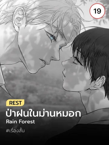 ป่าในม่านฝน | Rain forest
