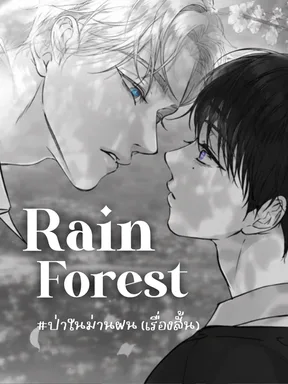 ป่าในม่านฝน | Rain forest