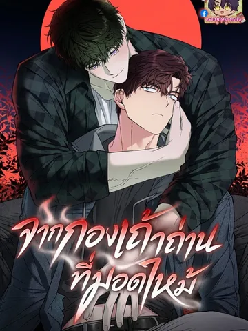 จากกองเถ้าถ่านที่มอดไหม้ | From the Burnt Ashes | แซลมอน