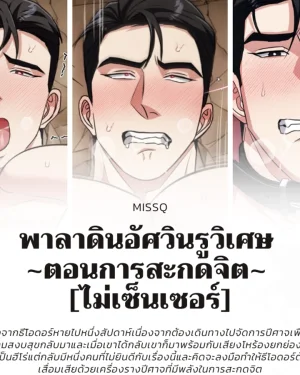 พาลาดินอัศวินรูวิเศษ ~ตอนการสะกดจิต~ [ไม่เซ็นเซอร์]