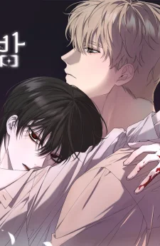 แสงอรุณที่ส่องกลางราตรี The Night Lit by Dawn
