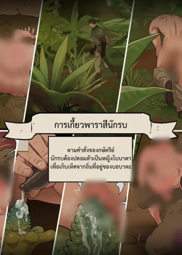 เกี้ยวพาราสีนักรบ