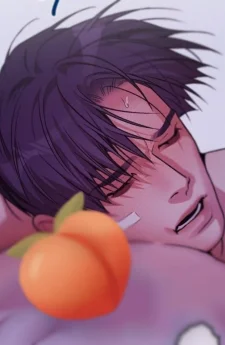 조개소년 Ignite the Dawn