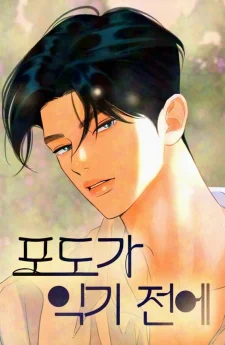 ก่อนองุ่นจะสุกงอม - Before The grapes Ripen