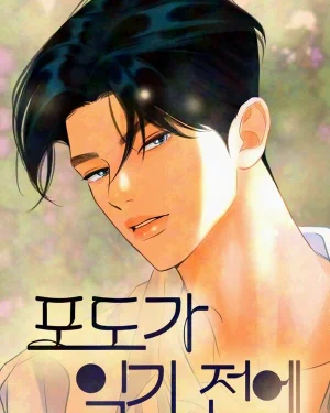 ก่อนองุ่นจะสุกงอม - Before The grapes Ripen