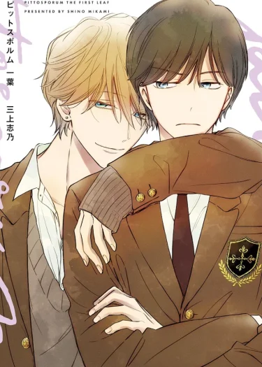 Pittosporum (แปลไทย)