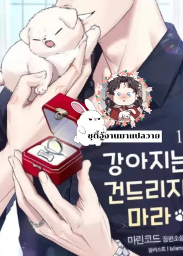 ลูกหมาของฉันใครก็ห้ามแตะ