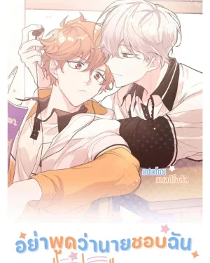 อย่าพูดว่านายชอบฉัน