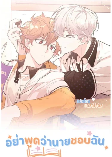อย่าพูดว่านายชอบฉัน