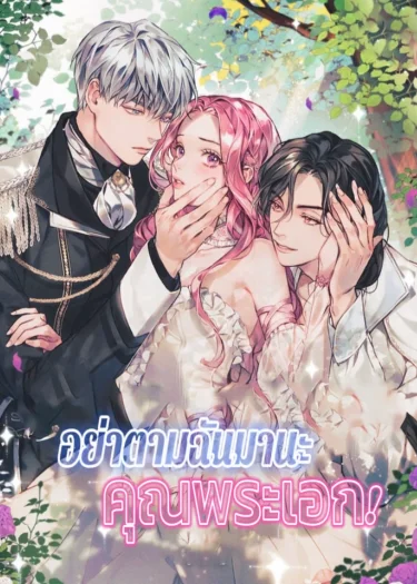 อย่าตามฉันมานะ คุณพระเอก!
