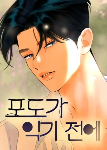 ก่อนที่องุ่นจะสุกงอม - Before the grapes ripen