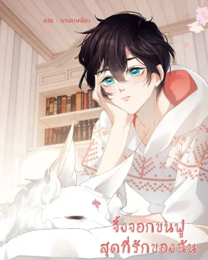 จิ้งจอกขนฟูสุดที่รักของฉัน