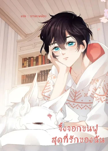 จิ้งจอกขนฟูสุดที่รักของฉัน
