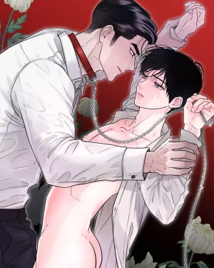 พันธะแห่งแสง