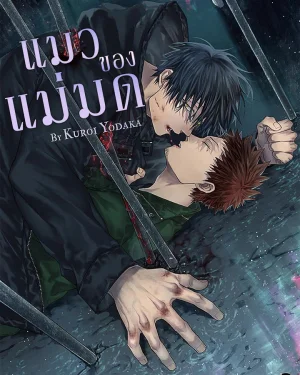  แมวของแม่มด