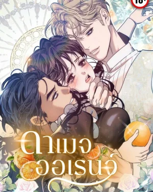 ดาเมจออเรนจ์/Damage Orange