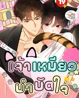 เจ้าเหมียวบำบัดใจ Kitty Therapy