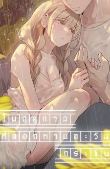 In The Season When Sunflowers Whisper - ในฤดูกาลที่ดอกทานตะวันกระซิบ