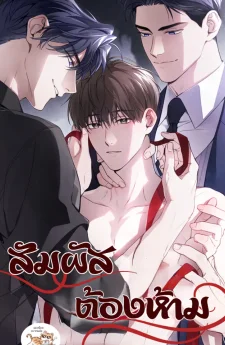 สัมผัสต้องห้าม