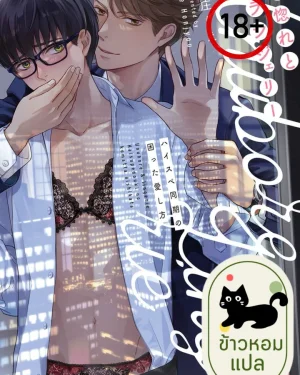 นิชิคาวะ หยุดใส่บรายั่วผมได้ไหม
