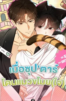 เมื่อซุป'ตาร์โดนแมวขโมย(ใจ) | Kitty Therapy  | 고양이 테라피