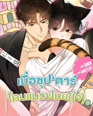 เมื่อซุป'ตาร์โดนแมวขโมย(ใจ) | Kitty Therapy  | 고양이 테라피