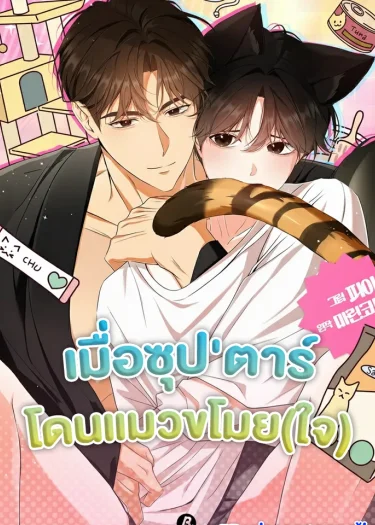 เมื่อซุป'ตาร์โดนแมวขโมย(ใจ) | Kitty Therapy  | 고양이 테라피