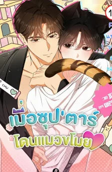 เมื่อซุป'ตาร์โดนแมวขโมย(ใจ) | Kitty Therapy | 고양이 테라피