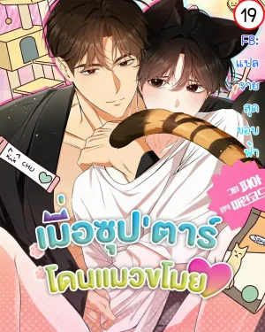 เมื่อซุป'ตาร์โดนแมวขโมย(ใจ) | Kitty Therapy | 고양이 테라피