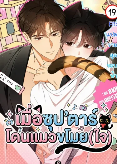 เมื่อซุป'ตาร์โดนแมวขโมย(ใจ) | Kitty Therapy  | 고양이 테라피