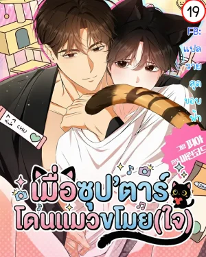 เมื่อซุป'ตาร์โดนแมวขโมย(ใจ) | Kitty Therapy | 고양이 테라피