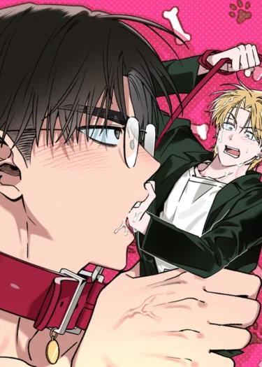 From Stray to Stay / 개과천선은 어려워