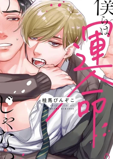 เราไม่ใช่คู่แห่งโชคชะตา