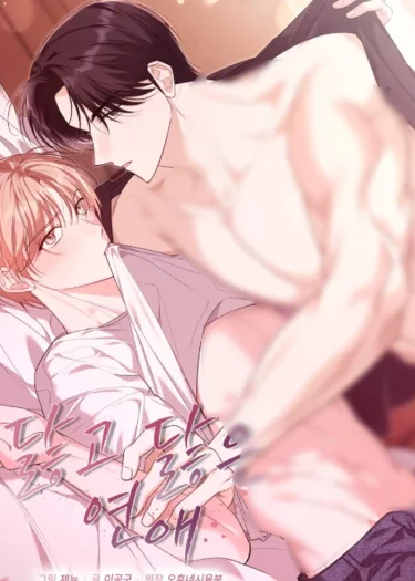 นิยายรักเก่าๆworn out romance닳고 닳은 연애