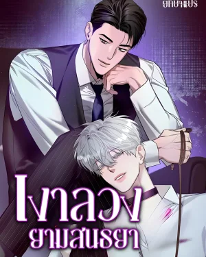 เงาลวงยามสนธยา (Zero Side)