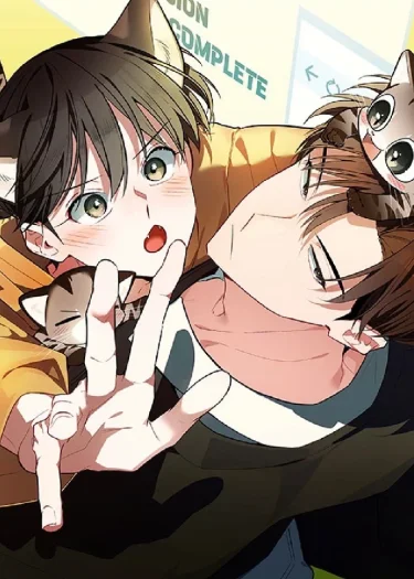 แมวน้อยคอยรัก